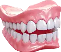 v-Dental Clinic